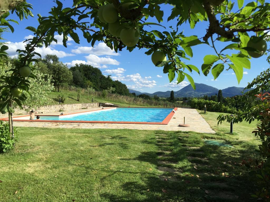 Villa Agricola Caicucci Montone  Zimmer foto