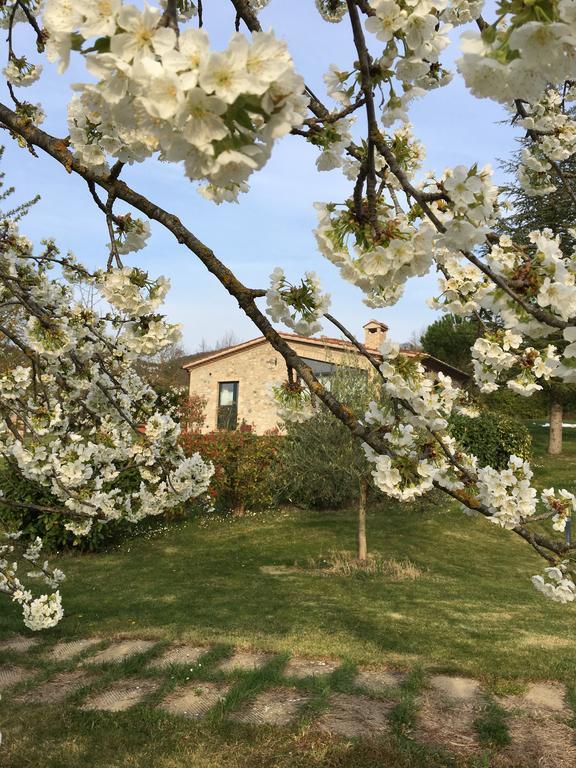Villa Agricola Caicucci Montone  Exterior foto
